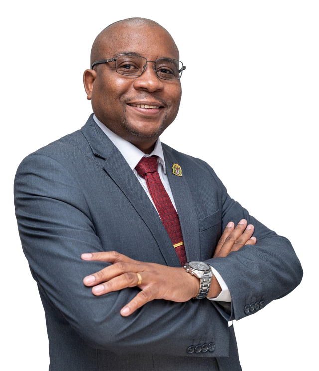 Mr. Peter Situmbeko Nalitolela
